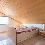 House Otusi Holiday home *