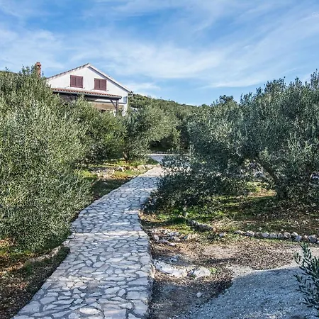 House Otusi تكون