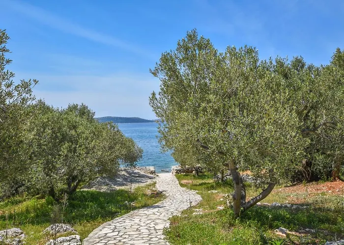 House Otusi Ткон