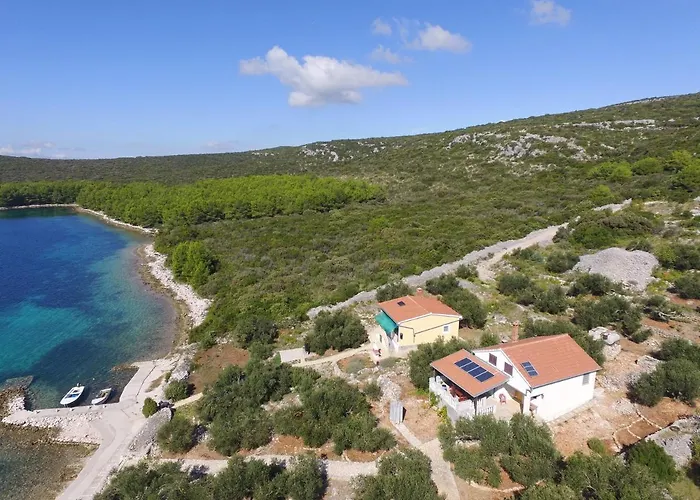 House Otusi * تكون