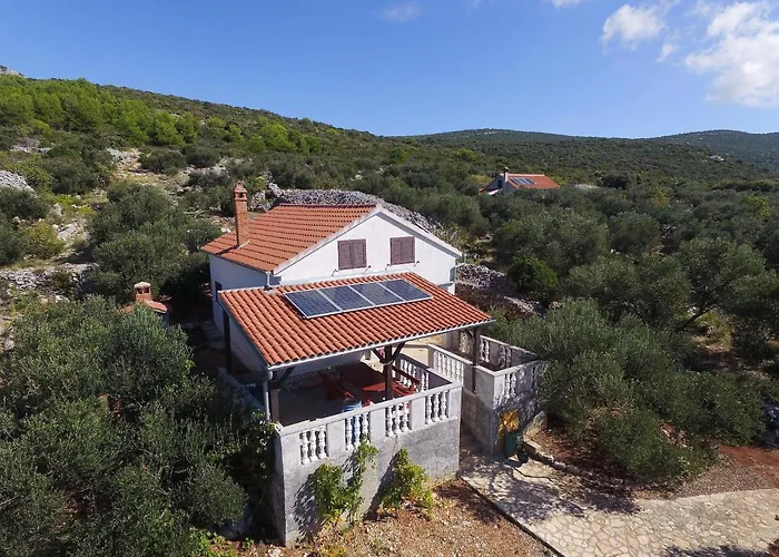 House Otusi تكون