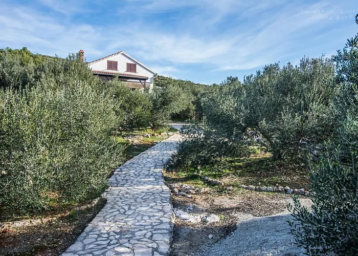 House Otusi تكون